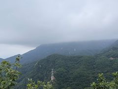 -六里坪国家森林公园