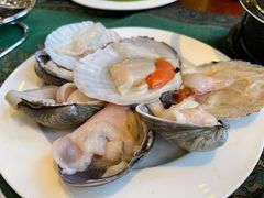 现捞贝类-火舞泰·泰式海鲜火锅餐厅(世纪城店)