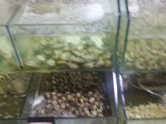 -四海鲜渔家菜(黄金海岸店)
