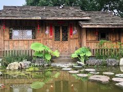 -南山植物园