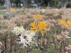 -白塘生态植物园