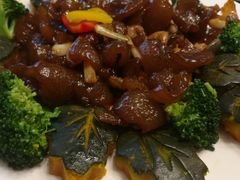 -皇马假日醉海南大酒店·假日一品派茶楼(秀英店)