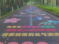 -广东花都湖国家湿地公园