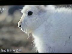 -欢乐驿站量贩式KTV(西丽店)