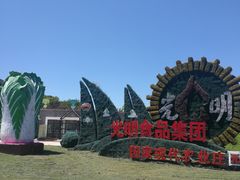 -上海都市菜园