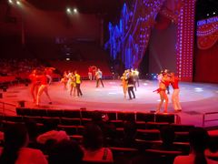 -珠海横琴长隆《卡卡虎奇遇记》