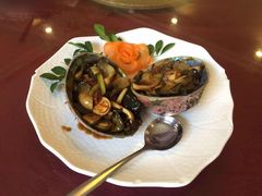 -新锦鸿(演达店)