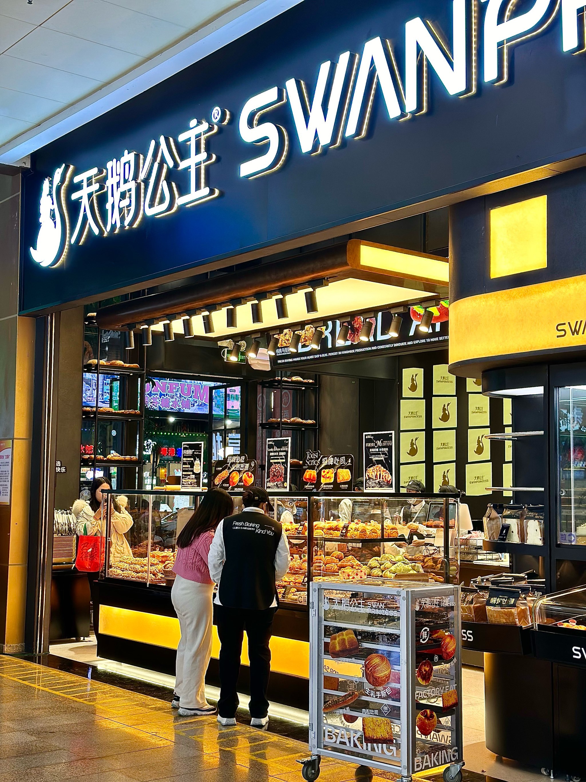 进化后的的天鹅公主让我高攀不起