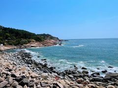 -广东惠东海龟国家级自然保护区