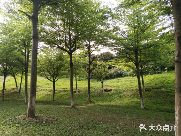 松山湖南湖湾露营营地图片