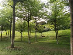 -松山湖南湖湾露营营地