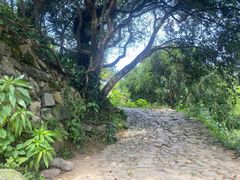 -杨家堂村