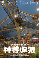 -卡通尼·Safari非洲探索乐园·生日会(金桥国际商业广场店)