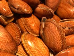 -味餐厅·海鲜·火锅·自助餐