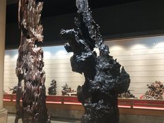 -乐山乌木文化博览苑