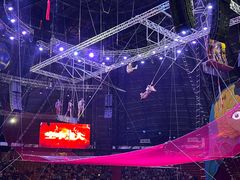 -俄罗斯国家大马戏团