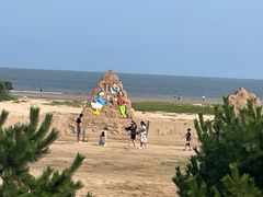 -日照海滨国家森林公园