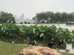 -长春市南湖公园