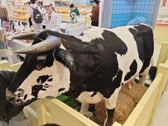 -红星前进面包牛奶公司(君太店)