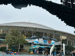 -海合安成都极地海洋公园