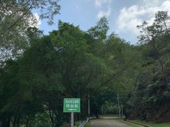 -风云岭森林公园