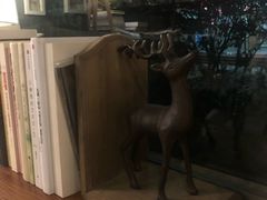 -咖法森林·咖啡  酒吧(天河店)