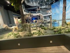 -辽宁古生物博物馆