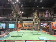 -国家自然博物馆