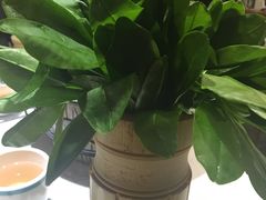 -蕃茄述·好汤自然来(江汉路店)