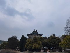 -武汉大学-樱园