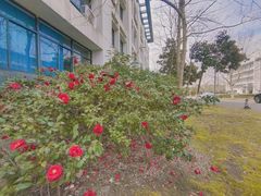 -东华大学(松江校区)