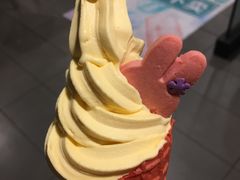 -麦当劳(花园北路店)