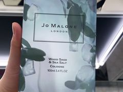 -米兰马尔彭萨国际机场