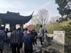 -西湖游船