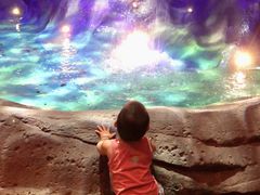 -杭州开元森泊度假乐园