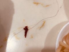 -牛老五羊杂汤(广阳区总店)