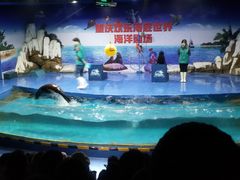 -重庆欢乐海底世界