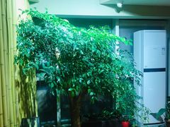 -小隐足道·按摩·主题SPA馆(西红门店)