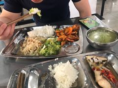 -上海科学技术职业学院