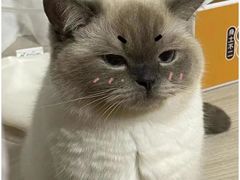 -李先生的首尔小馆(松江启源广场店)