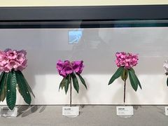 -四川大学博物馆