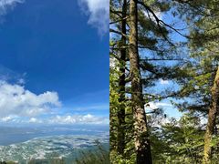 -苍山感通索道