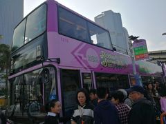 -Big Bus Tours 敞篷观光巴士