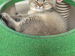 -天宠宠物医院24小时·急重症诊疗中心·全科·腔镜特色(和平分院)