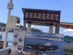 -南诏风情岛