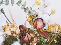 -FULL MOON满月咖啡