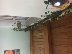 -碧流河炖鸡馆
