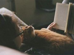 -全家便利店(槐树巷店)