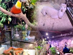 -正佳雨林生态植物园