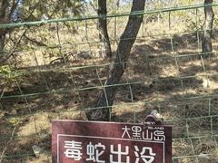 -长岛大黑山岛